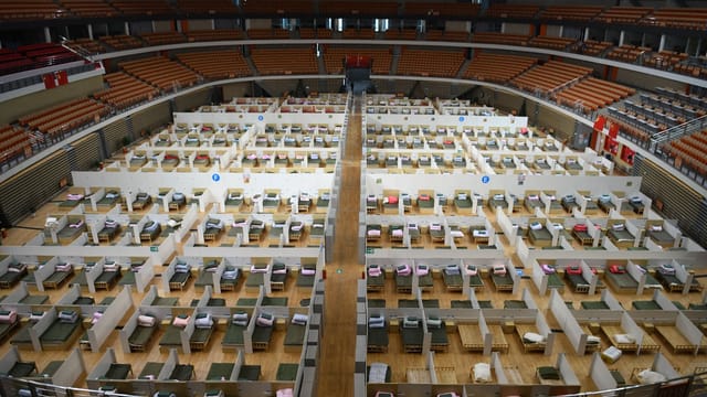 Spacious indoor stadium converted into a temporary hospital with numerous beds.