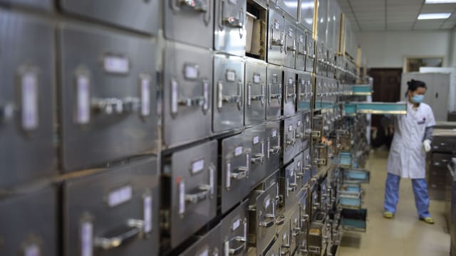 A laboratory technician organizes metal storage drawers in a research facility, maintaining order and efficiency.