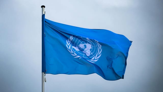 A vibrant United Nations flag on a pole waving against a muted gray sky, symbolizing global unity.