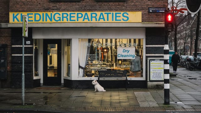 A cozy corner store in Amsterdam with a dog sitting outside on a rainy day.