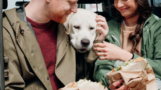 Smiling couple shares a moment with their Labrador retriever during an outdoor picnic.