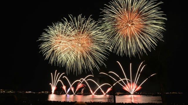 Stunning fireworks illuminate the night sky over a crowded waterfront, capturing the festive celebration.