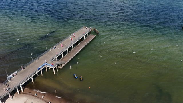 Aerial view of a pier extending into the ocean, with people walking and seagulls flying.