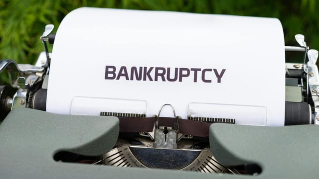 Close-up of a typewriter with the word 'BANKRUPTCY' on paper, surrounded by greenery.