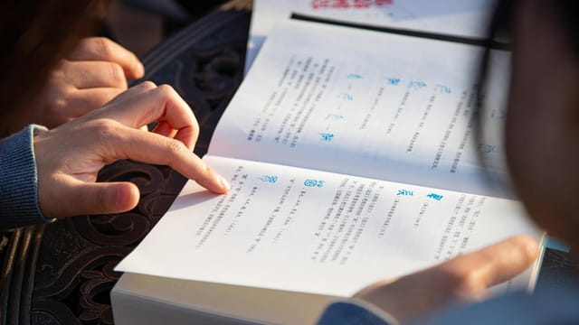 Hands pointing and reading a book with text. Outdoor educational activity.