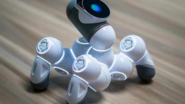 Close-up of an advanced robotic pet dog demonstrating modern technology.