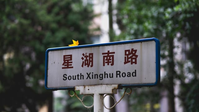 Close-up of a street sign on South Xinghu Road with Chinese characters and decorative leaf.