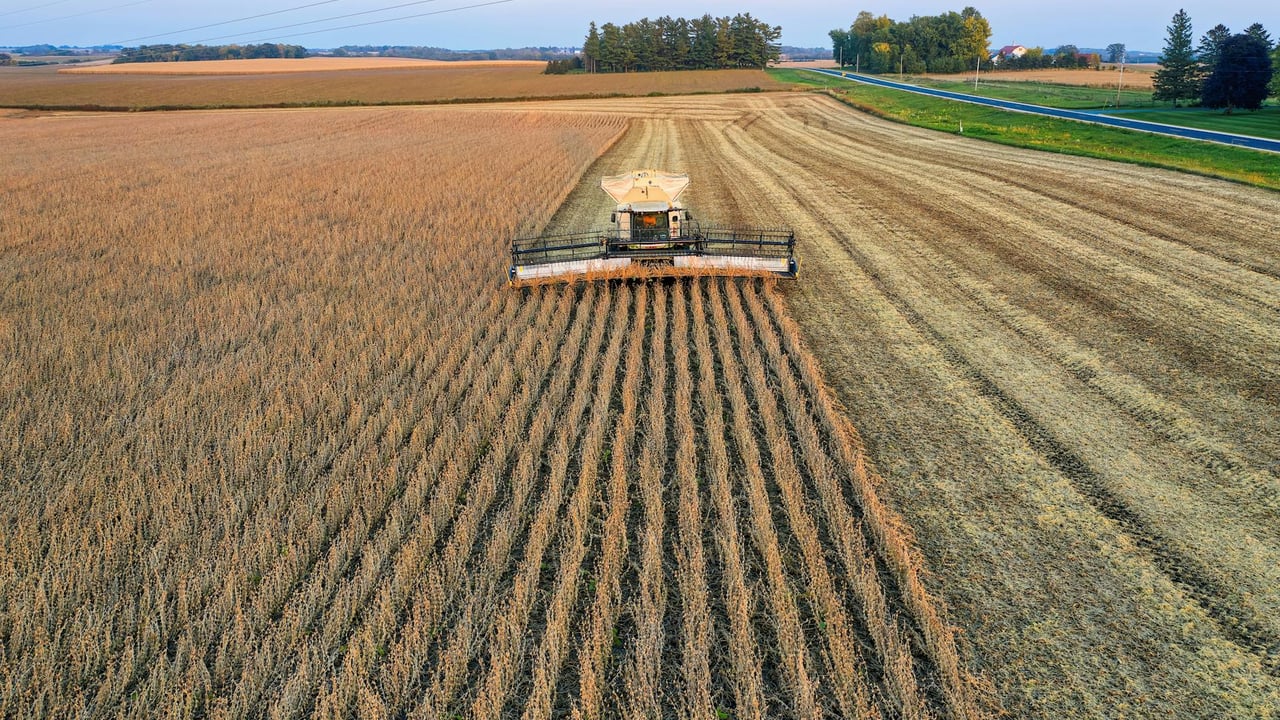 Drone shot capturing a combine harvester harvesting soybeans in a rural Minnesota farm field.