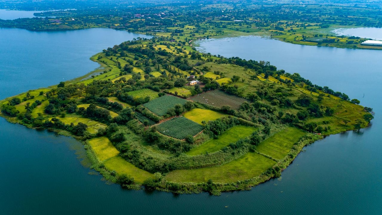 Stunning aerial photo of lush green island in Igatpuri, India surrounded by blue waters.
