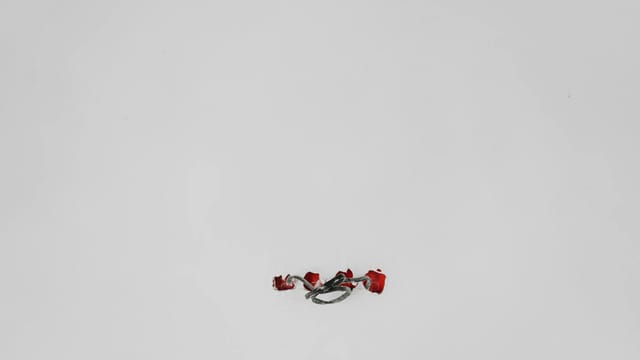 A minimalist composition showing scattered red flower petals on a white backdrop, emphasizing simplicity and elegance.