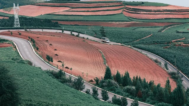 A picturesque rural road curves through vibrant green and red terraced fields under a blue sky.