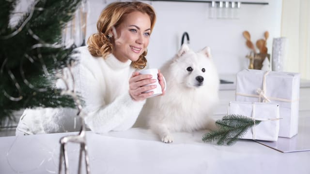 Woman holding a mug with gifts and fluffy dog. Cozy winter scene indoors.