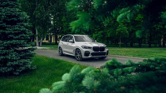 A sleek white SUV parked amidst lush green foliage, capturing a serene park environment.