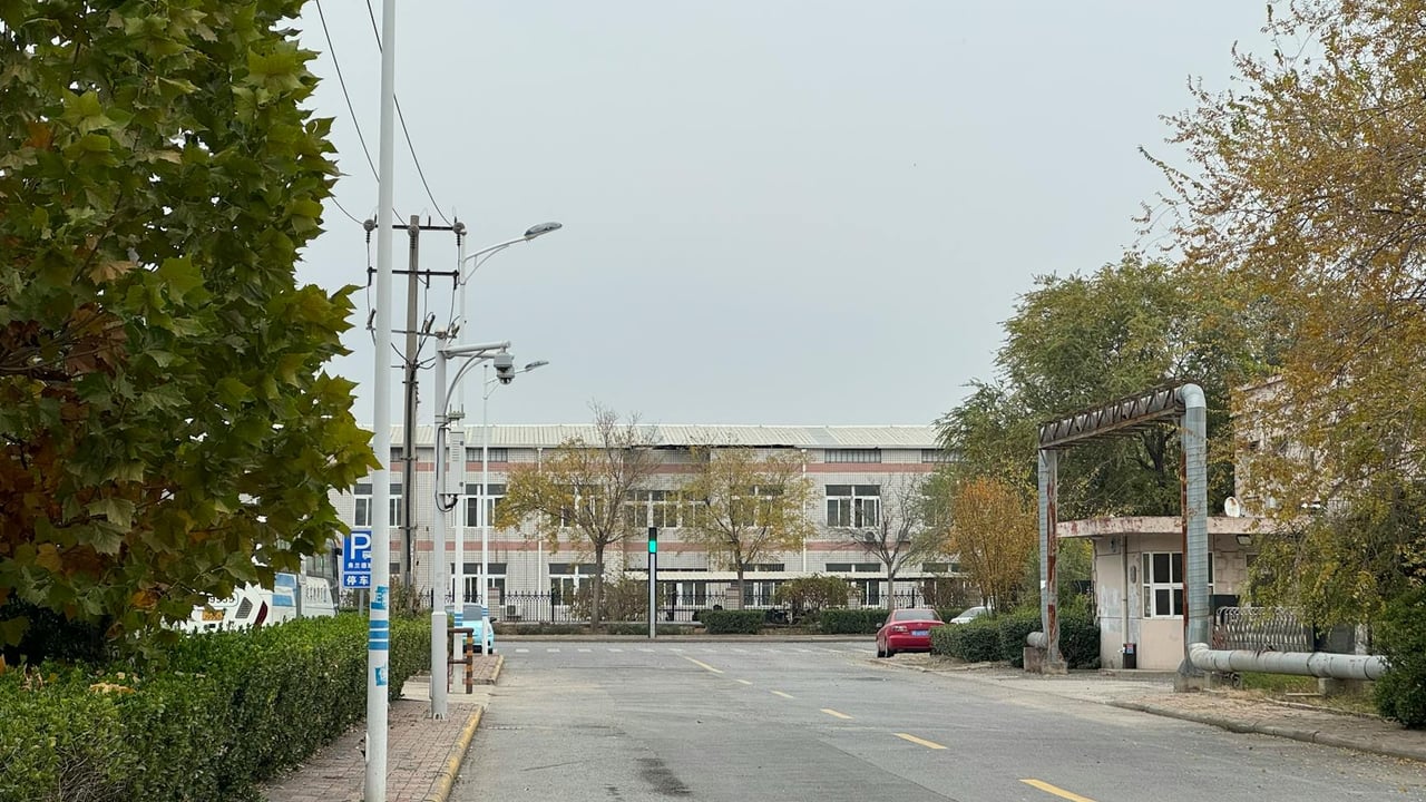 A serene urban street scene during autumn with trees, streetlights, and an apartment building.