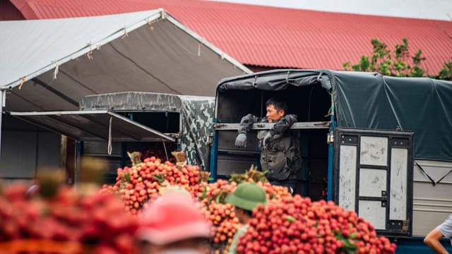 A bustling scene at Bac Giang's lychee market during harvest season, showcasing fresh produce and local workers.