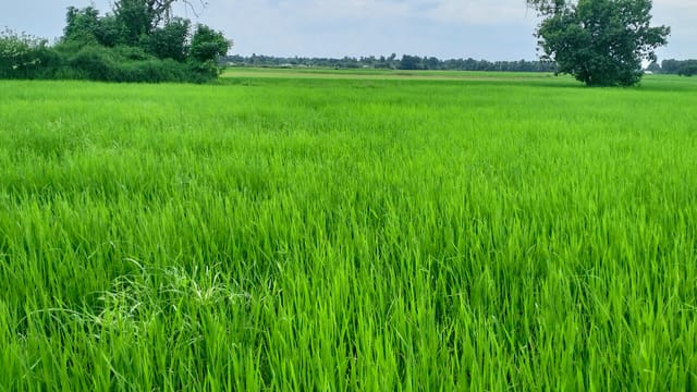 விவசாயின் நிலம்