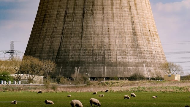 Sheep grazing in a green field with a power plant cooling tower in the background, UK countryside scene.
