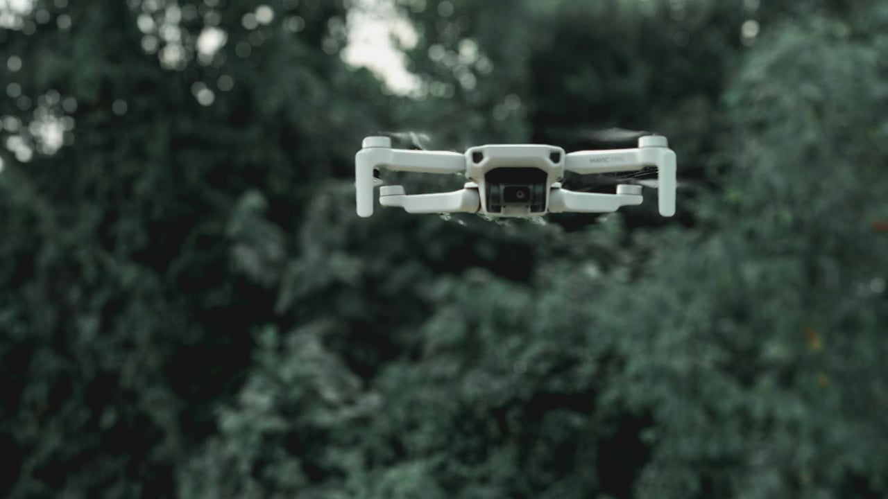 Modern quadcopter with infrared video camera and moving propellers flying under overgrown green trees in daylight