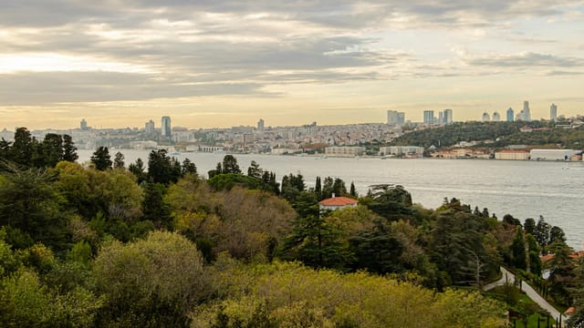 Aerial view of Istanbul's skyline along the Bosphorus Strait at sunset, showcasing lush greenery and urban architecture.
