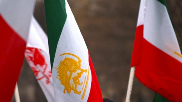 Close-up of Iranian flags waving outdoors in Washington, DC, showcasing cultural identity.