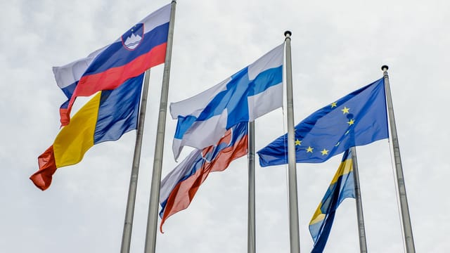 Flags of European countries and the EU waving on flagpoles in Strasbourg.