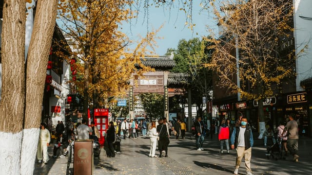 Vibrant city life unfolds in Nanjing's scenic streets during autumn.