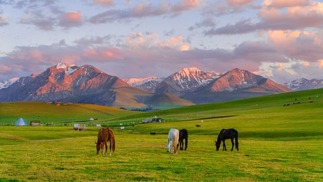 Scenic view of horses grazing in Xinjiang's picturesque grasslands at sunset with mountains in the background.