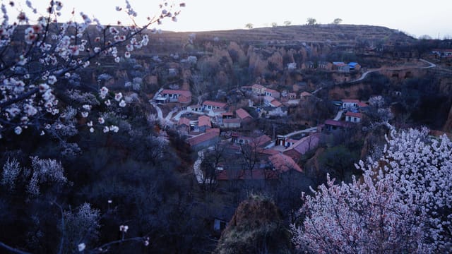 Peaceful mountain village with apricot blossoms blooming in early spring landscape.