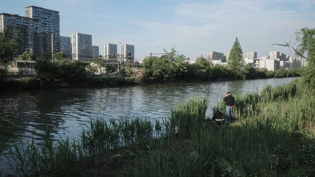Tranquil scene of a riverbank with a person and high-rise buildings in the background.