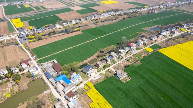 Aerial shot of lush agricultural fields and village houses in Jiujiang, Jiangxi, China, during summer.