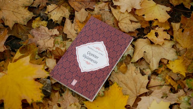 A book lies on colorful autumn leaves, showcasing tranquility and fall beauty.