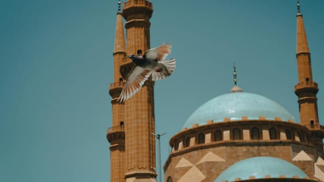 A pigeon soars past the Mohammad Al-Amin Mosque in Beirut, Lebanon.