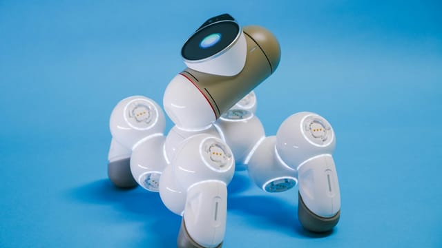 Close-up of an advanced robotic dog showcasing futuristic technology.