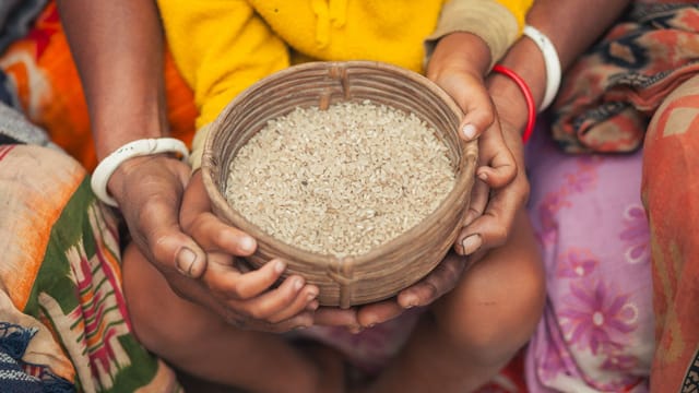 Close-up of hands holding a woven basket filled with rice in Bangladesh.