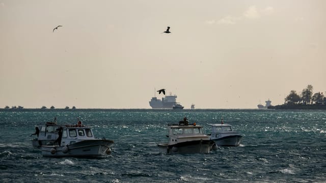 Scenic view of boats and birds on the Bosphorus Strait, Istanbul.