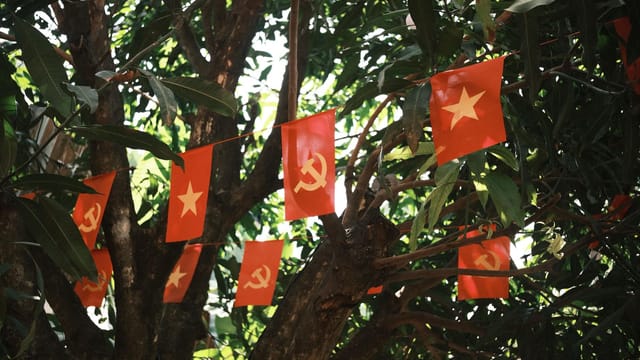 Red flags featuring stars and hammer and sickle hanging among tree branches softly lit by sunlight.