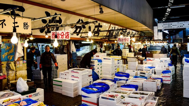 A vibrant scene at the Tsukiji Fish Market showcasing fresh seafood and active vendors in Tokyo, Japan.