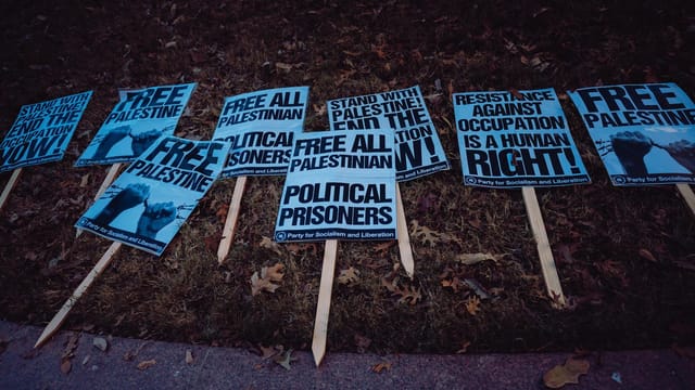Collection of protest signs advocating for Palestinian freedom and political rights.