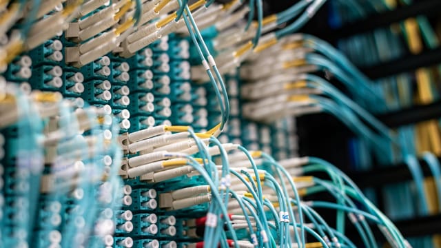 Illustrative image: From below of long thin blue cables connected to row of small white connectors on system block in data center