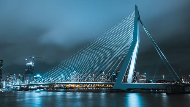 A striking nighttime view of the Erasmus Bridge illuminated against Rotterdam's cityscape.