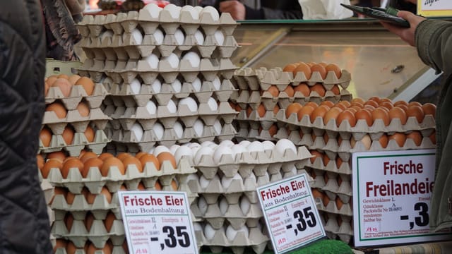 Stacks of fresh eggs in trays on sale at a traditional market in Frankfurt.