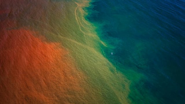 Stunning aerial view of multicolored ocean water near Sidmouth, England, showcasing natural beauty and coastal patterns.