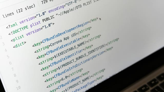 Detailed view of XML coding on a computer screen, showcasing software development.