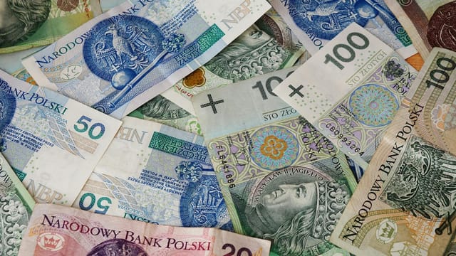 Diverse array of Polish banknotes showcasing various denominations and intricate designs.