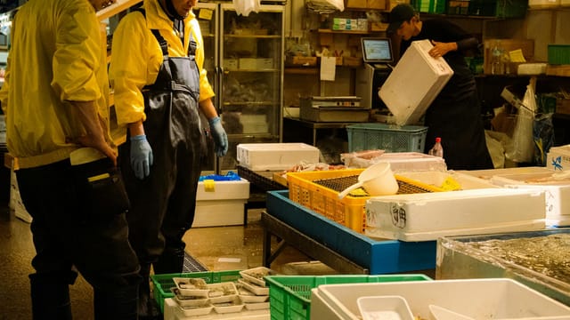 Men working in a bustling fish market in Osaka, Japan displaying seafood in crates.