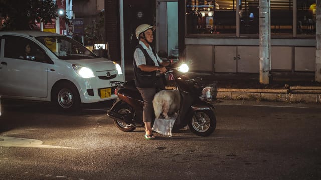 A scooter rider with a dog in Naha, Okinawa at night, showcasing urban street life.
