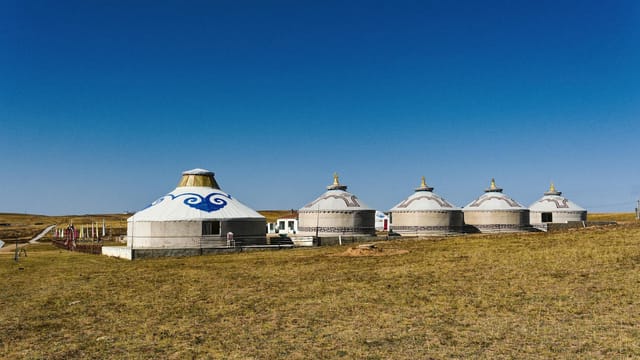 Explore the beauty of traditional Mongolian yurts under a clear blue sky in Inner Mongolia's expansive grasslands.