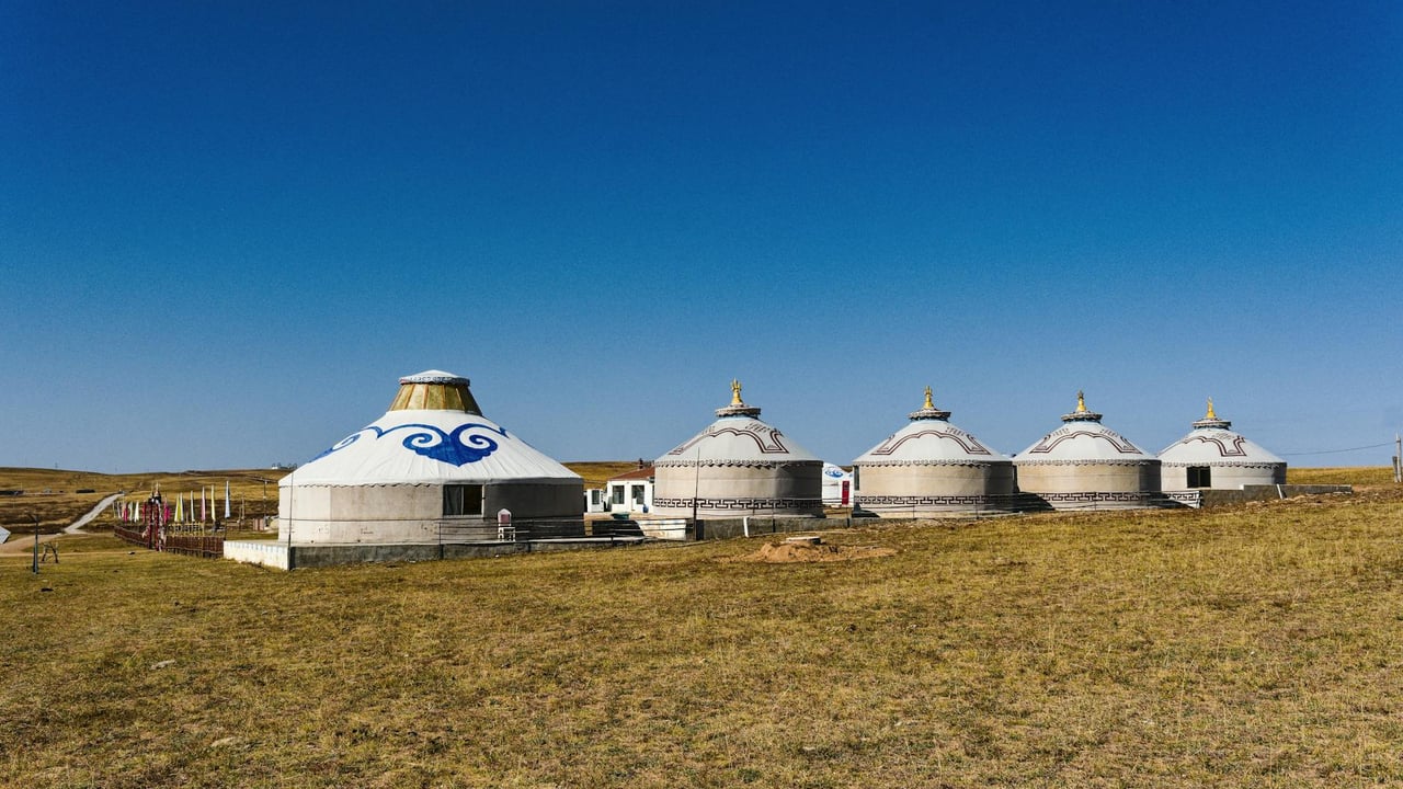 Explore the beauty of traditional Mongolian yurts under a clear blue sky in Inner Mongolia's expansive grasslands.