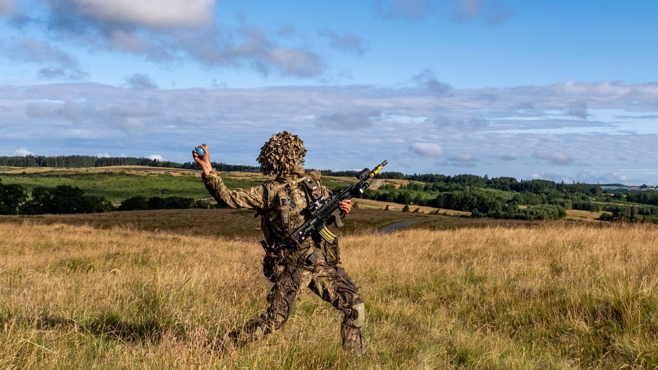 A soldier in camouflage throws a grenade during outdoor training in a grassy field.