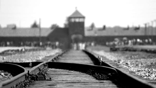 Black and white image of Auschwitz Birkenau railway tracks, symbolizing WWII history.